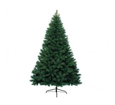 Canada spruce 210cm  Canada spruce 210cm